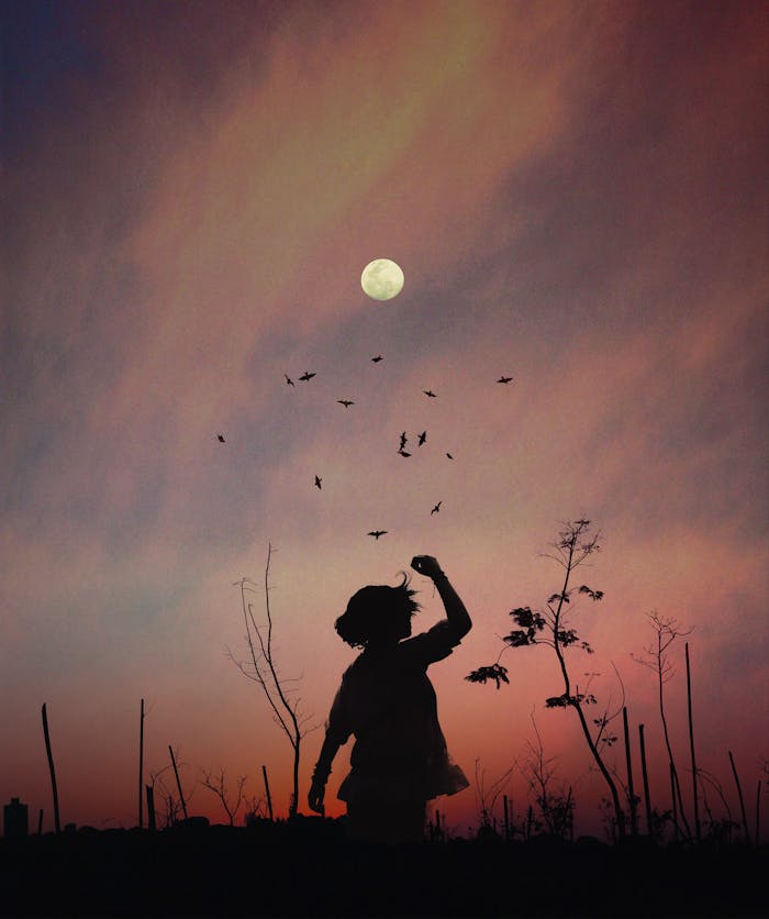 gallery-03 A captivating silhouette of a person at twilight with birds flocking against a colorful sky.